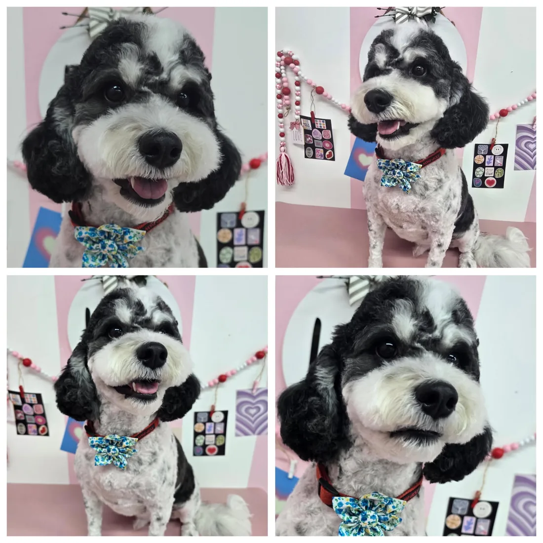 미용 전후 비교 — 미용 전과 미용 후의 모습